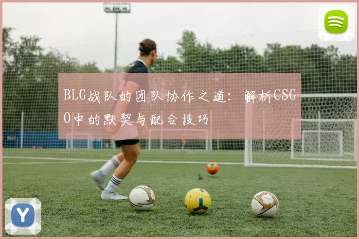 BLG战队的团队协作之道：解析CSGO中的默契与配合技巧